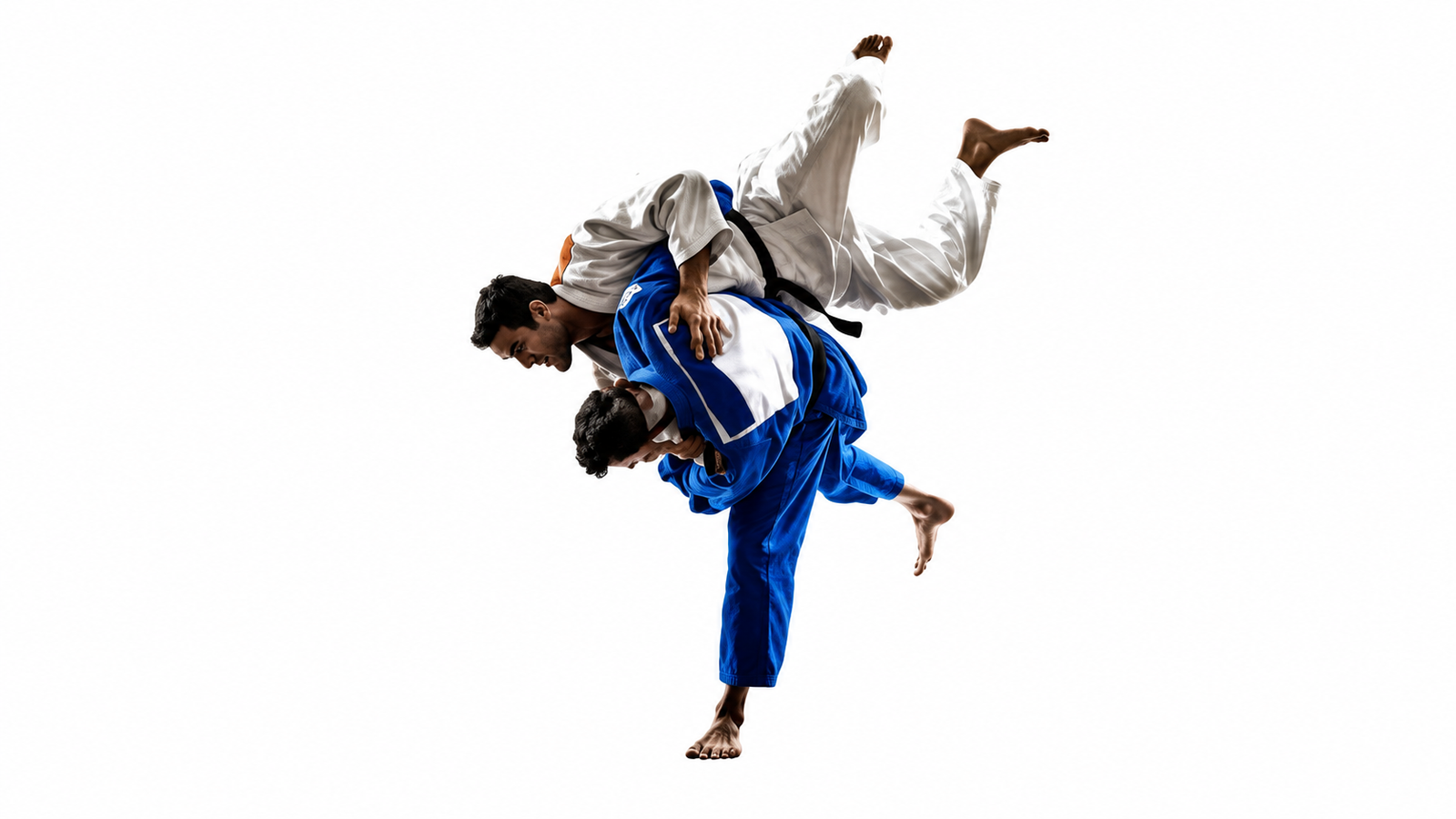 Dynamic martial arts throw technique